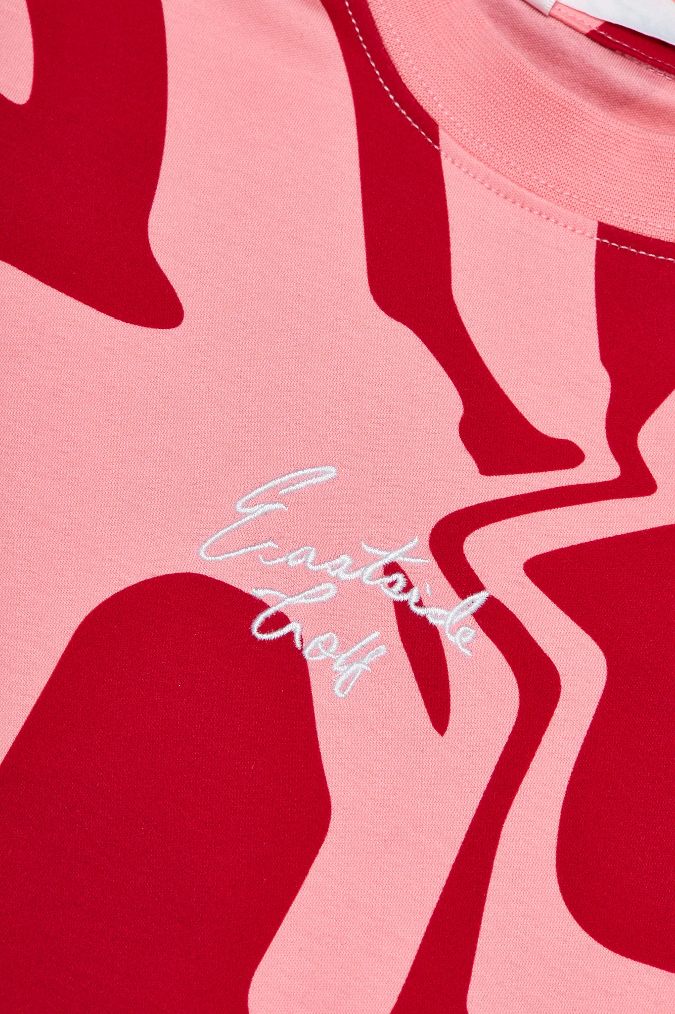 AntiStatic Properties Hydrophobic coating Dianthis LCD Pink Women's Oversized Cropped Tee